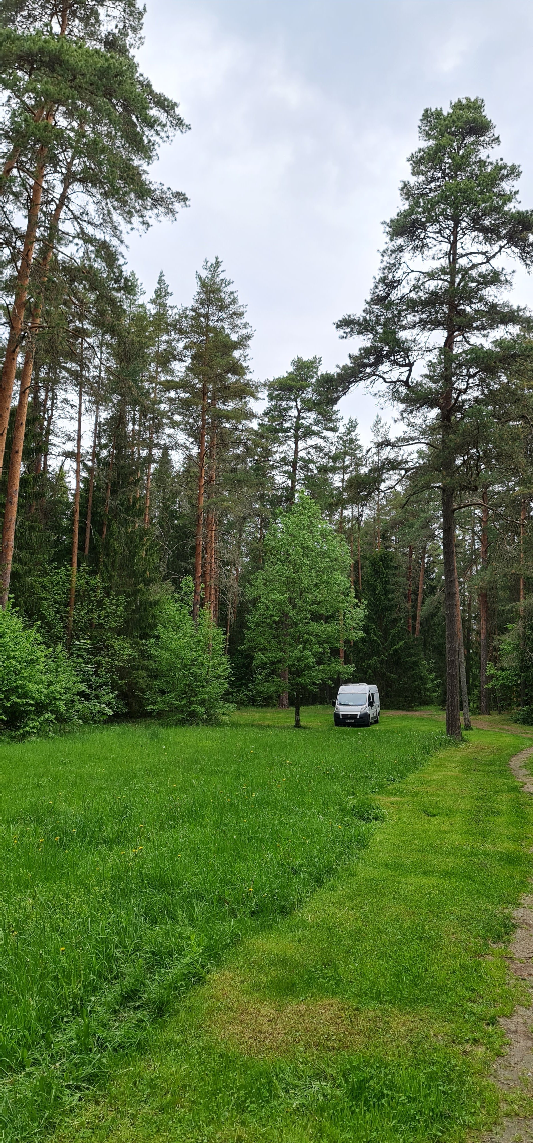 RMK Illi telkimisala